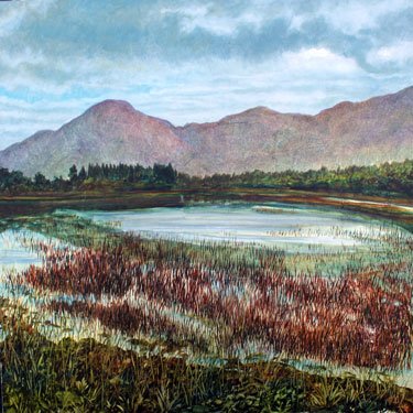 Connemara Morning