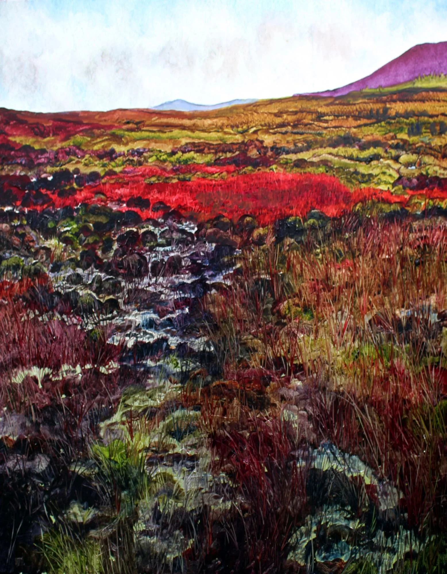 Mountain Bog