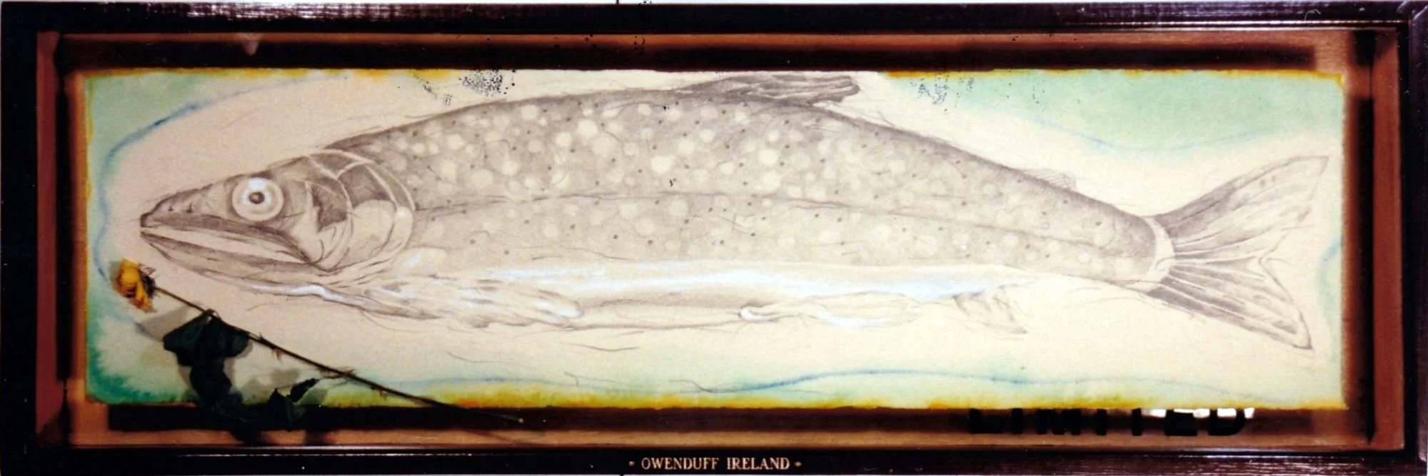 Fish Trophy - Owenduff.jpg