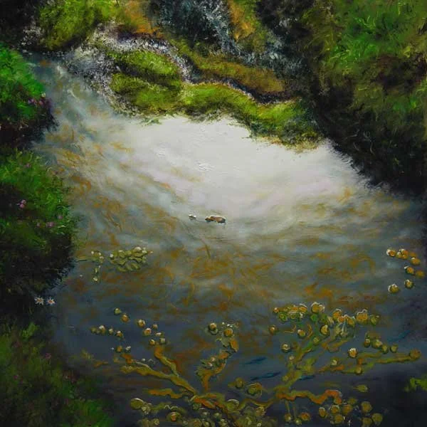 Tidal water pool