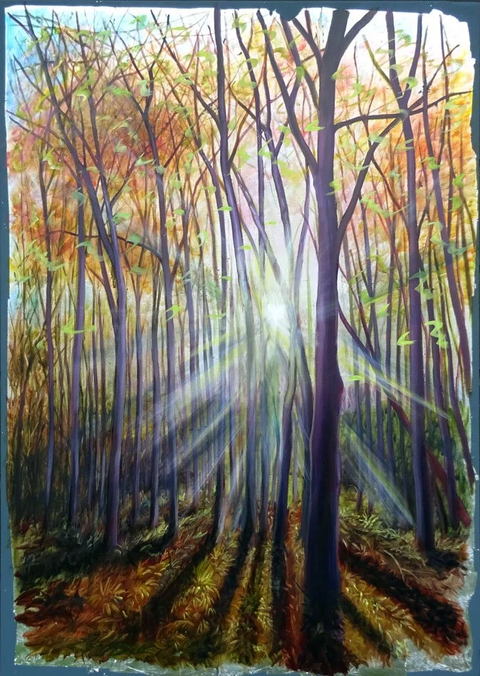 Winter-Forest.jpg