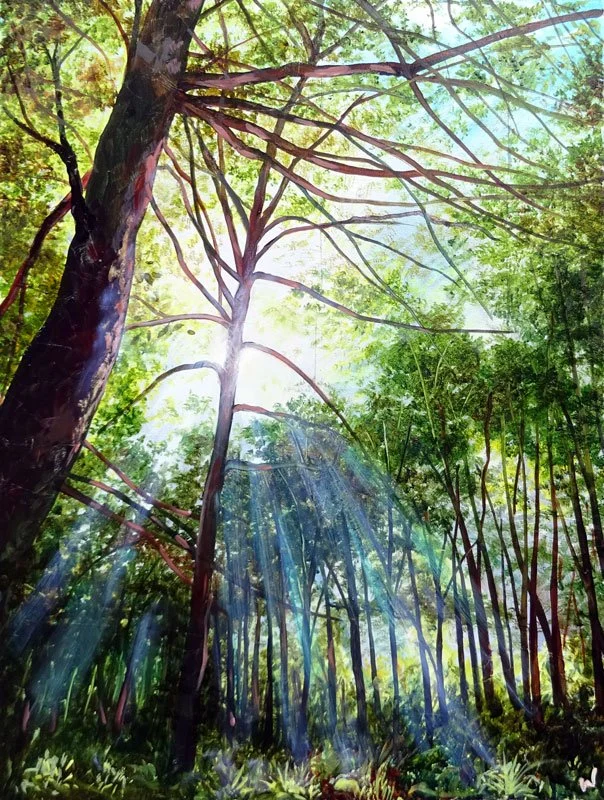 Luminous Forest 1