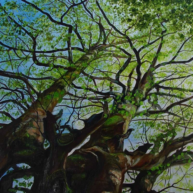 Under-my-favourite-tree.jpg