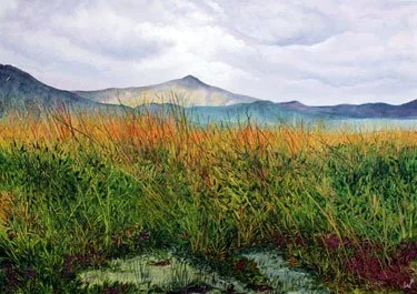 The Coastal Path