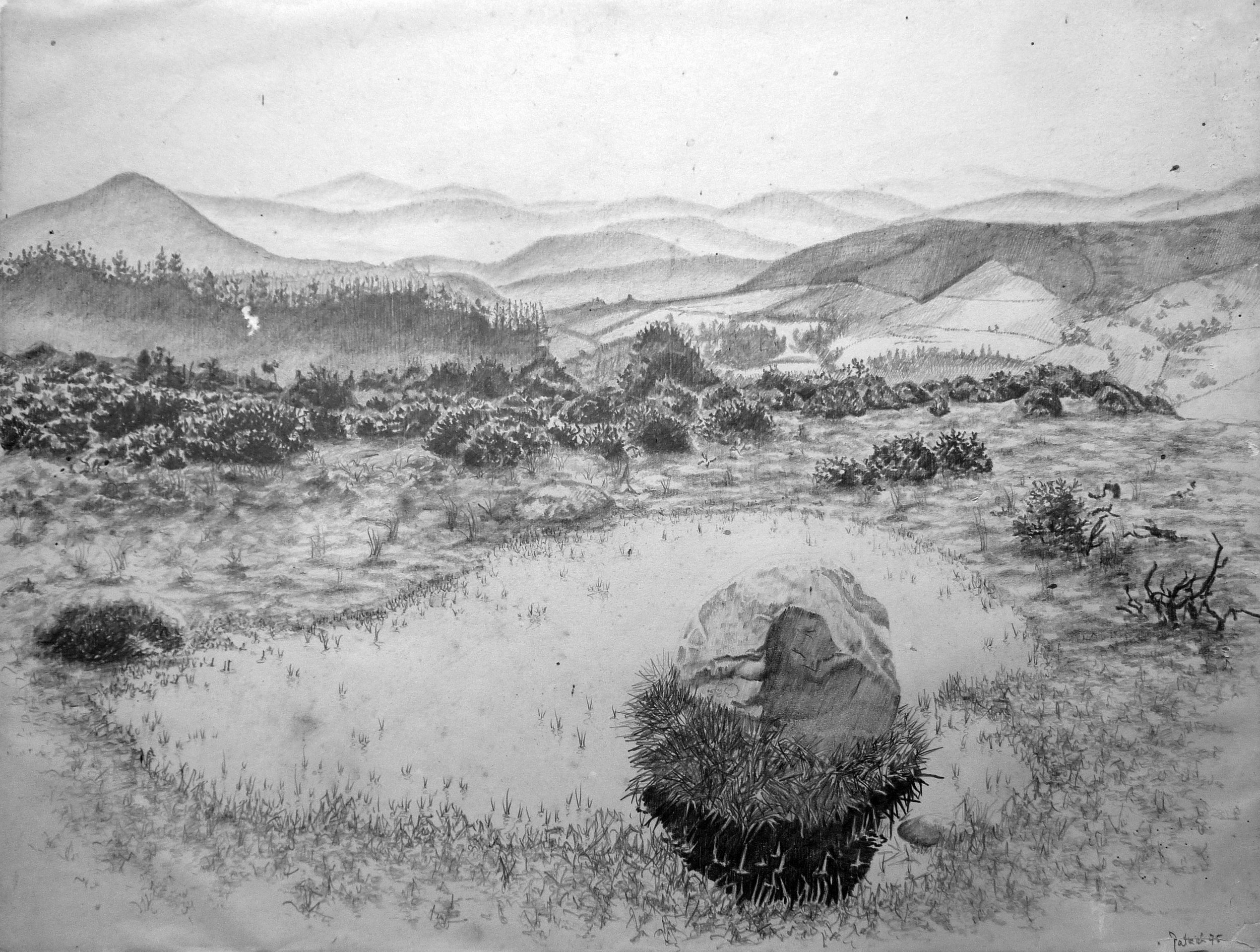 Pond Above Annamoe 1975