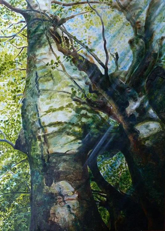 Conversing With Trees 1