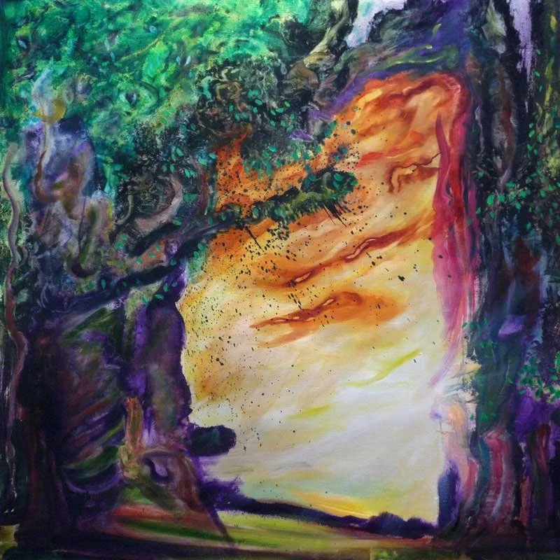 View from a Forest