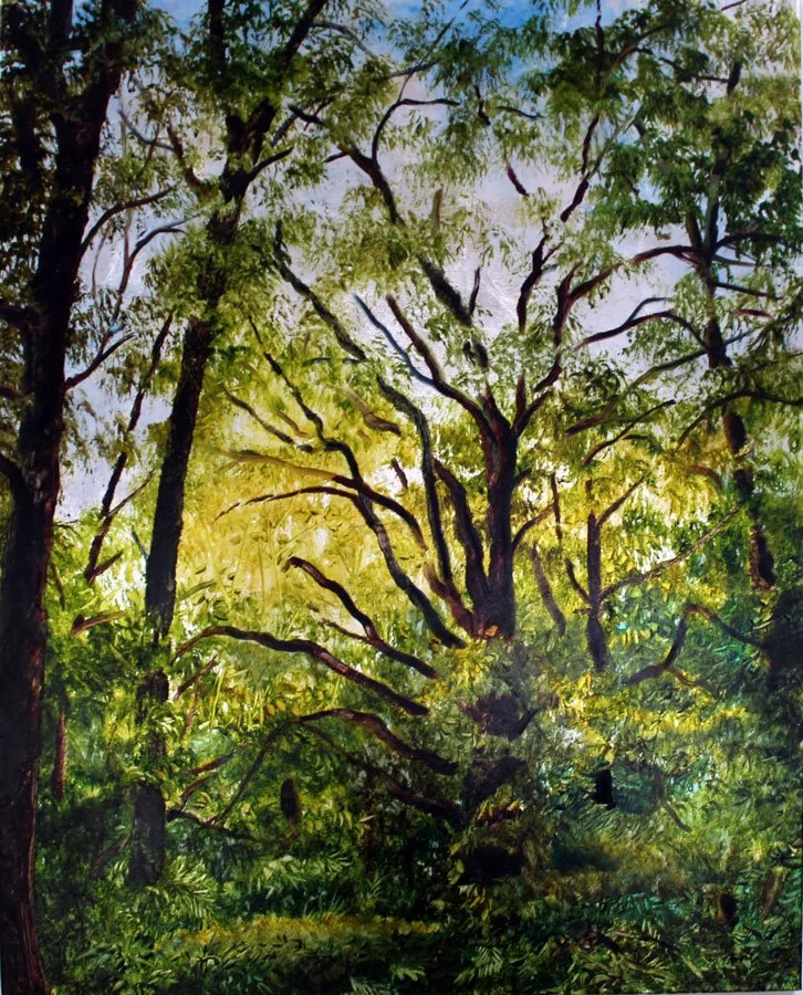 Wise Old Tree