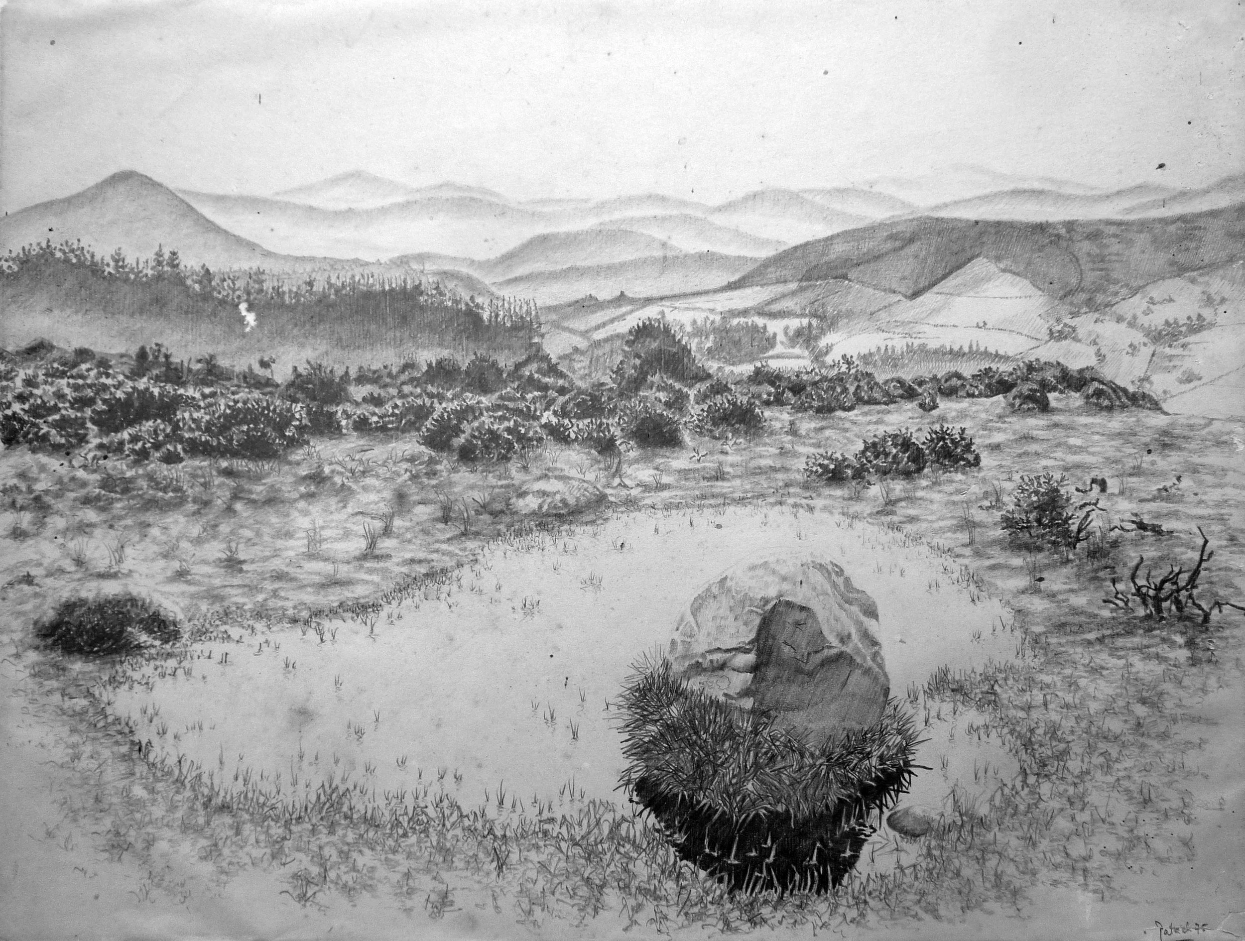 Above Annamoe 75.jpg