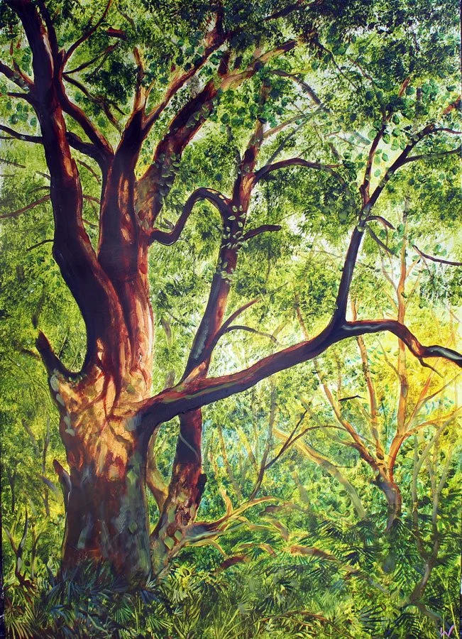 Wise Old Tree Yourself