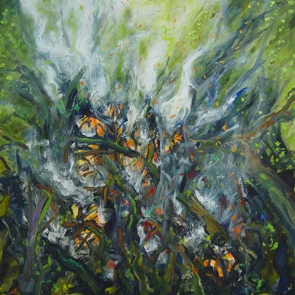 Fire in the Forest Summer