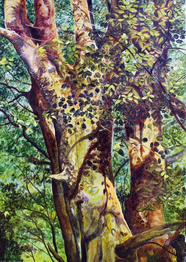 Daniel's Tree