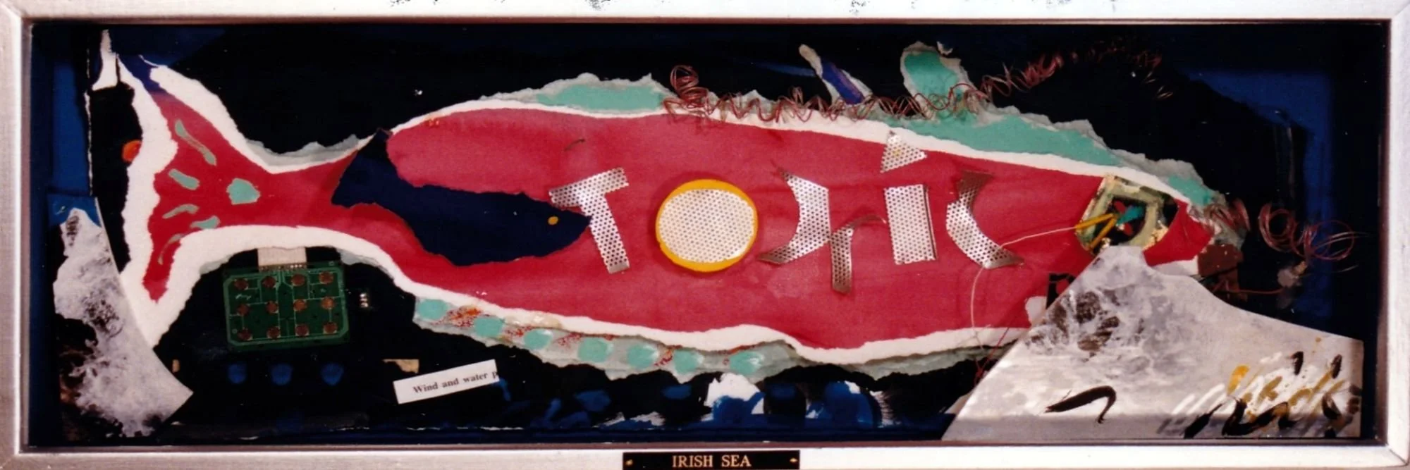 Fish Trophy - Irish Sea.jpg