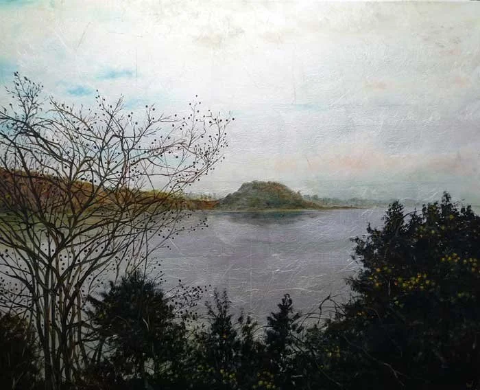 Stopping by a Lake in Winter