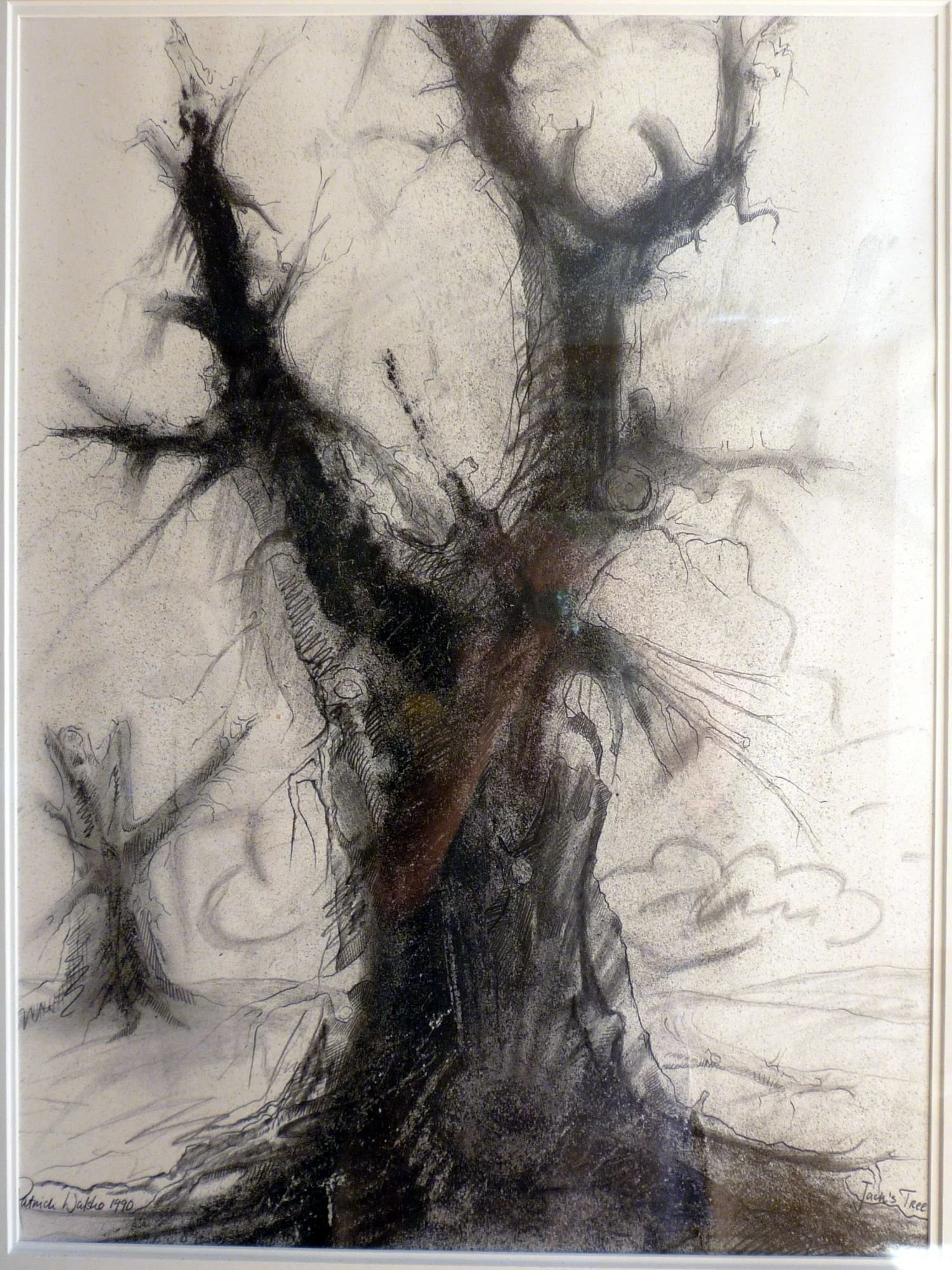 Jack's Tree