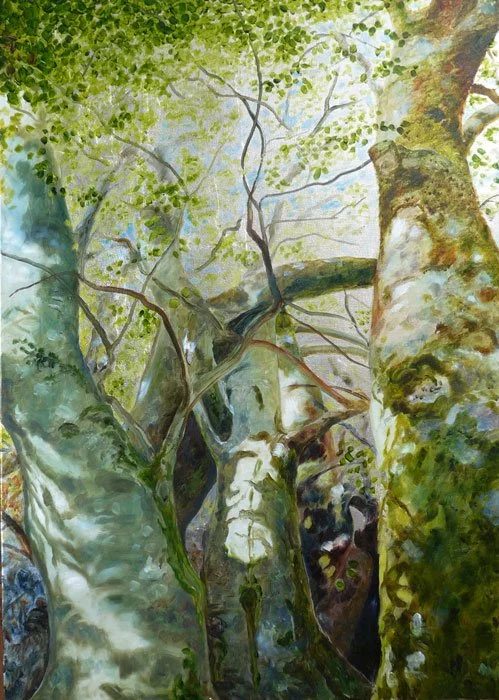 Conversing With Trees 2