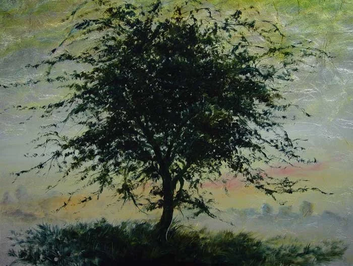 Ballyshee Fairy Tree