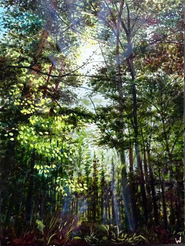 Luminous Forest 3
