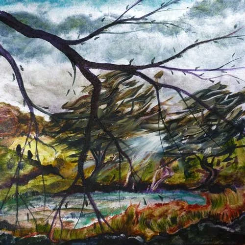 Pond