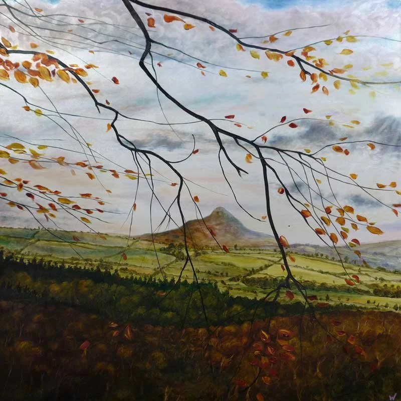 Rising Above the Woods