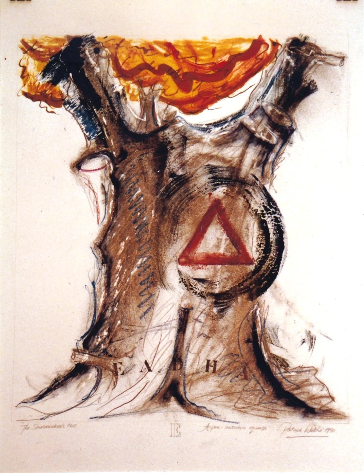 12. Poplar