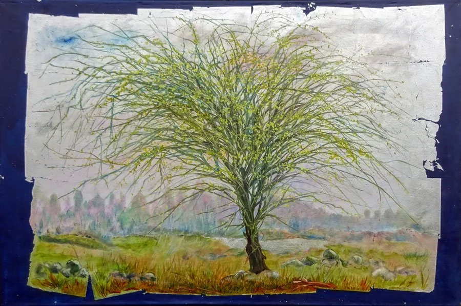 Spring Thorn