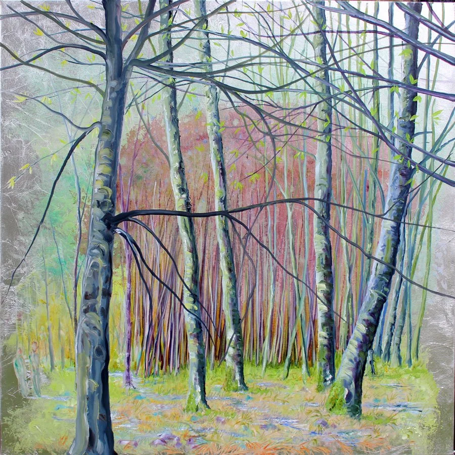 Birch Grove