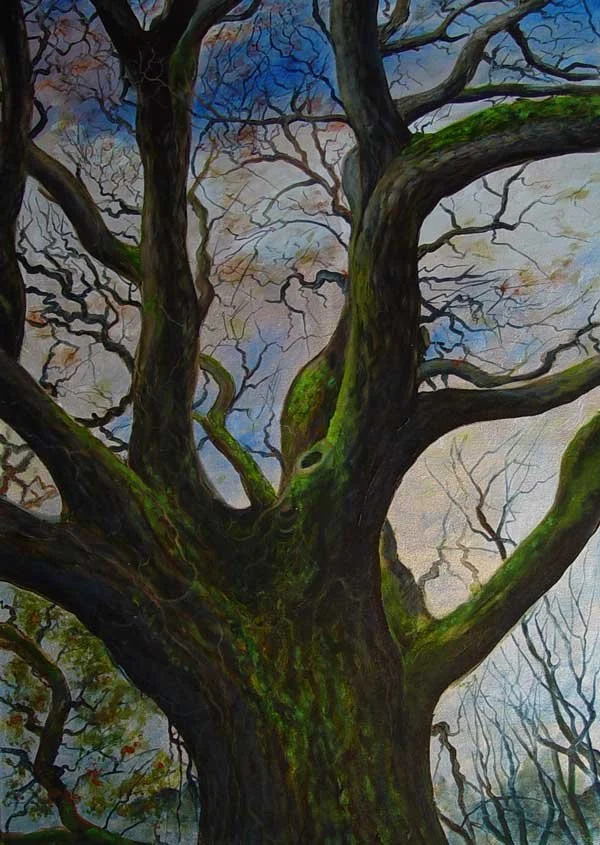 Bisgood's Oak Tall