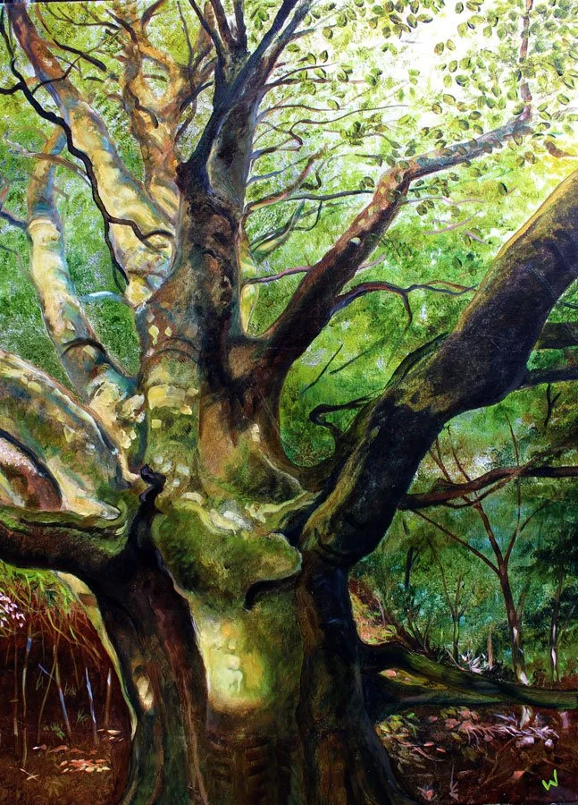 A Tree for Nicky