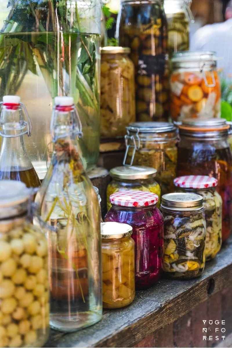 Yugen Forest_28B.jpg