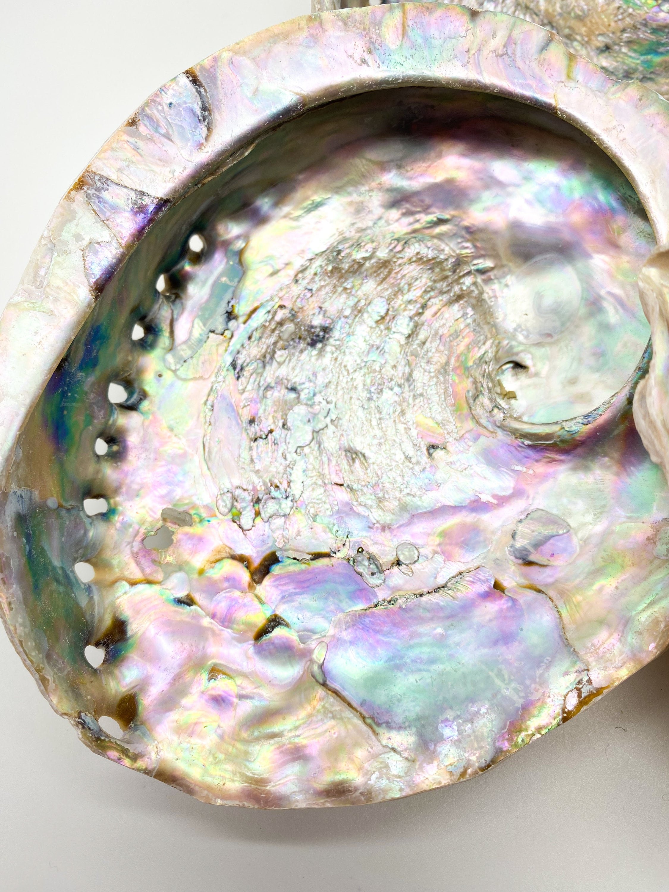 https://i.etsystatic.com/17232469/r/il/be3d58/5819355061/il_fullxfull.5819355061_m26w.jpg