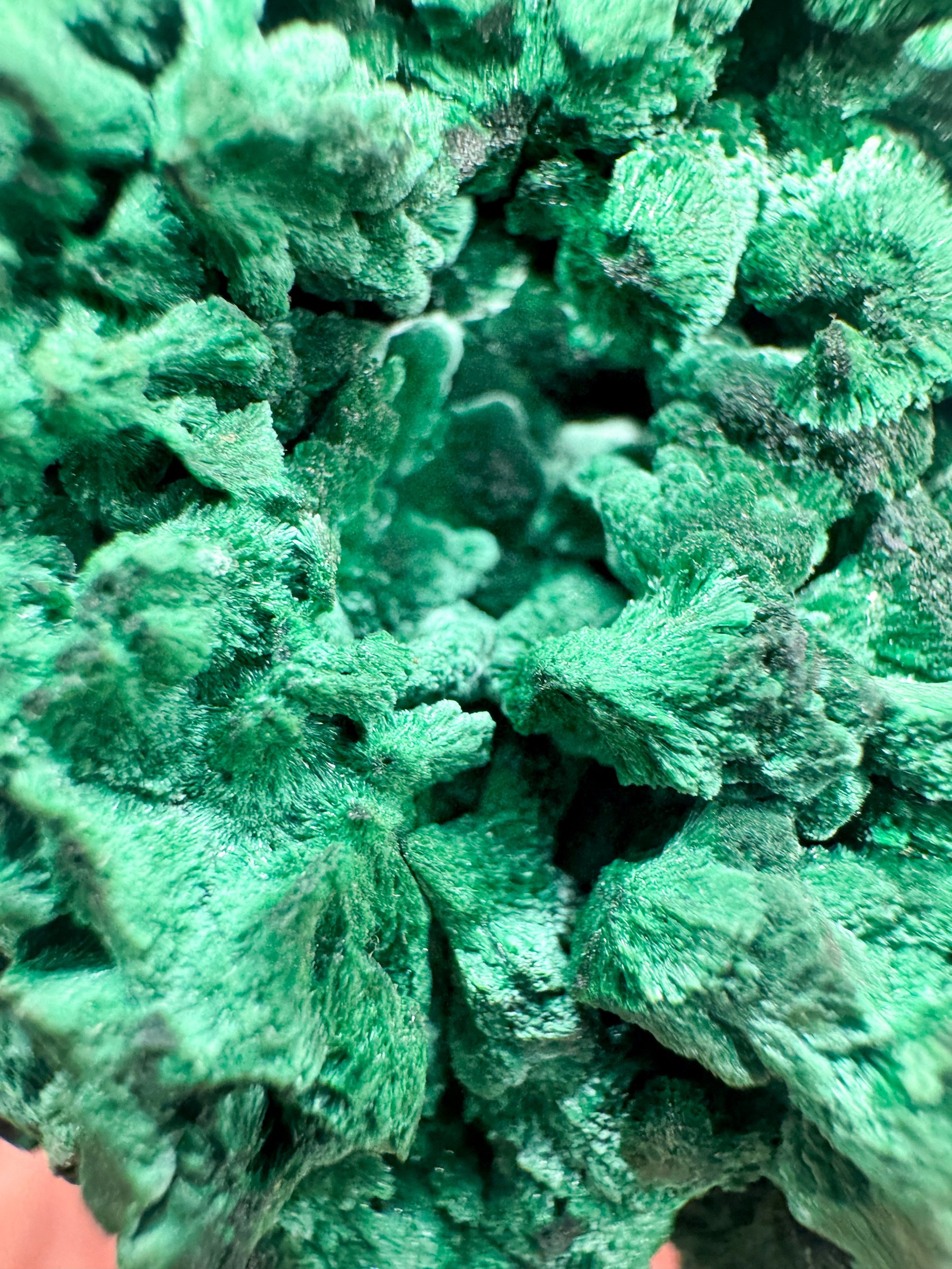 CA0BC727-ACAE-42F4-9497-D49C3F28653B.jpeg