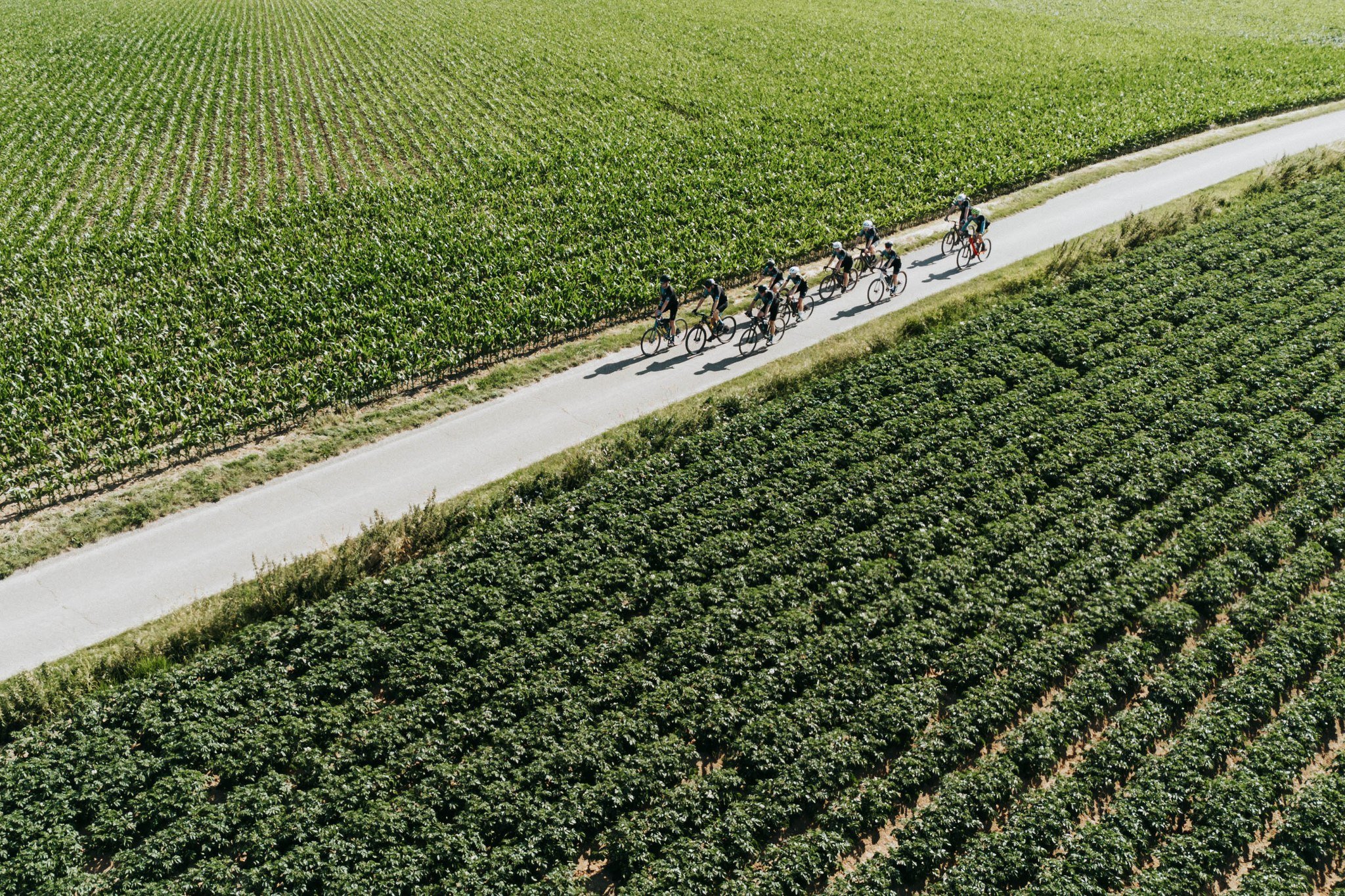 Een club vol energieke fietsliefhebbers die samen gravelen voor onderzoek tegen taaislijmziekte: dat is Gravel4AIR. Bij ons draait het niet alleen om fietsen, maar ook om het maken van een verschil. Het mooie daaraan? Iedereen kan meedoen, of je nou 