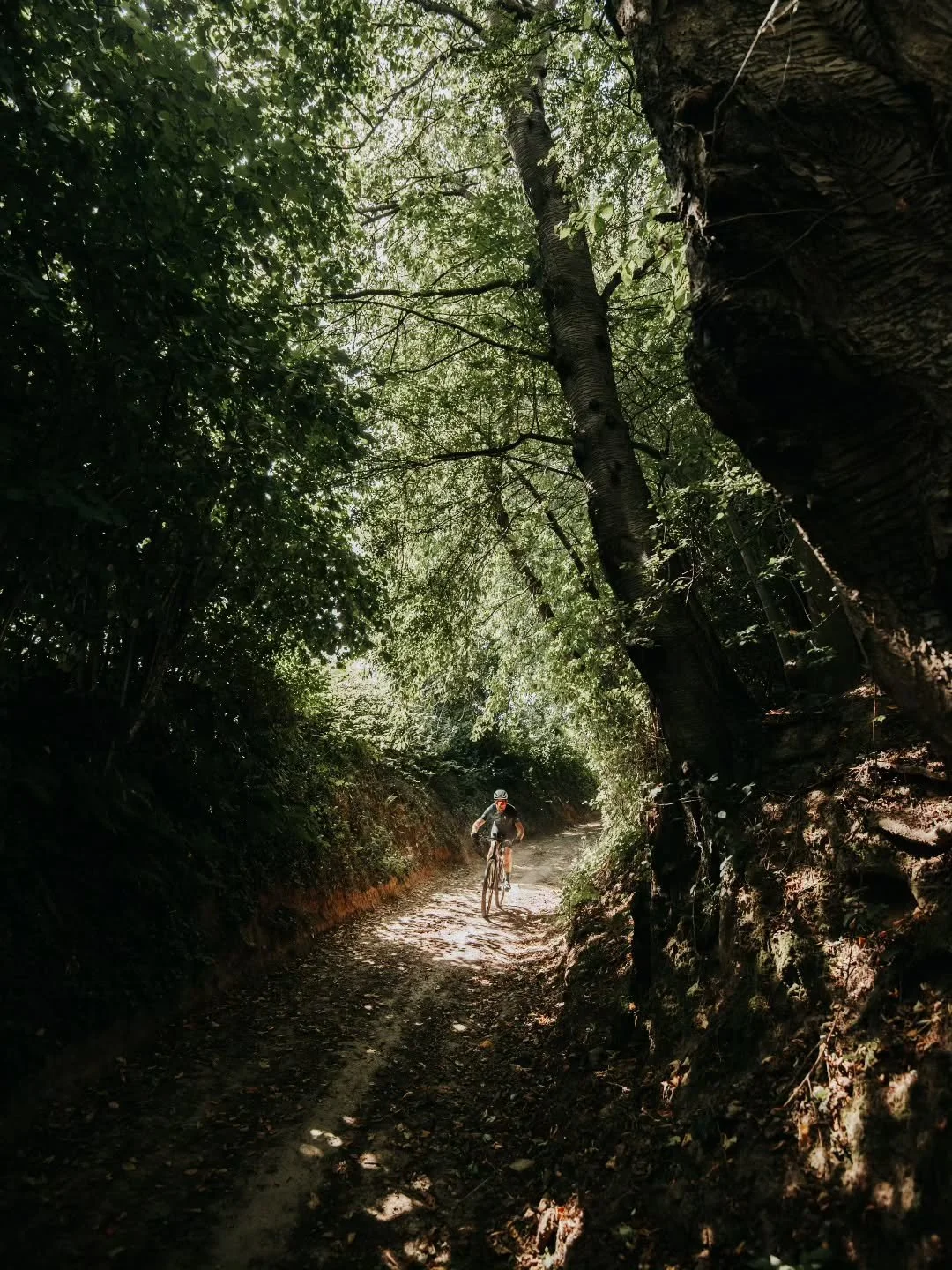 🔦🌿

📸 @wiebesietze