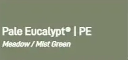Pale Eucalypt.png