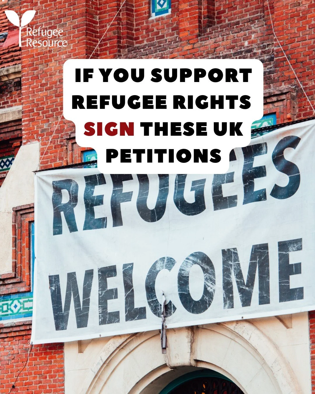 If you support refugee rights sign these UK petitions. 📣 

These national UK charities are calling for a fairer system that protects the rights and dignity of refugees, asylum seekers, and vulnerable migrants in the UK. 

Please support these organi