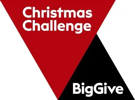 Big Give Christmas Challenge.webp