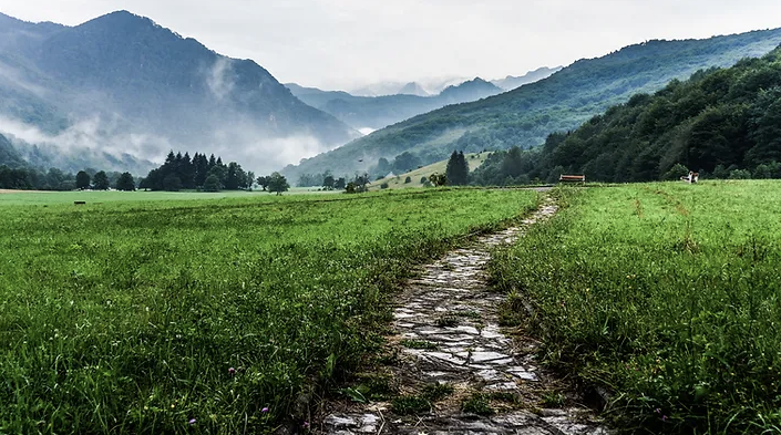 Developing an AI Strategy for Your Business: A Comprehensive Guide