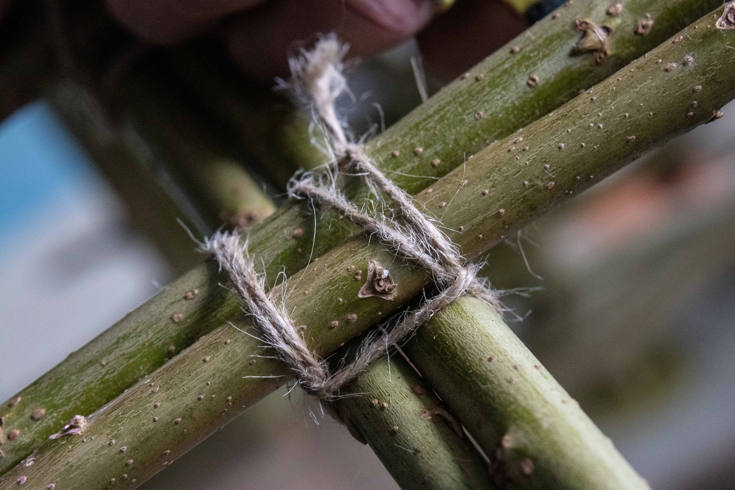 Gofod Glas llanrwst 2.3.25 coracle group-53.jpg
