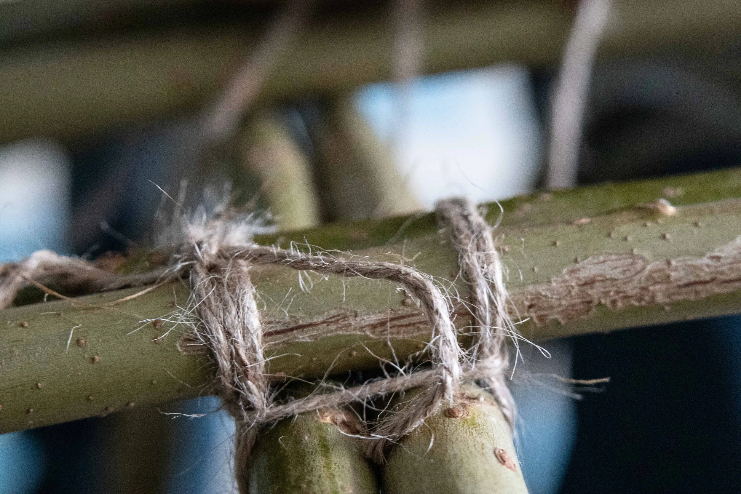 Gofod Glas llanrwst 2.3.25 coracle group-54.jpg