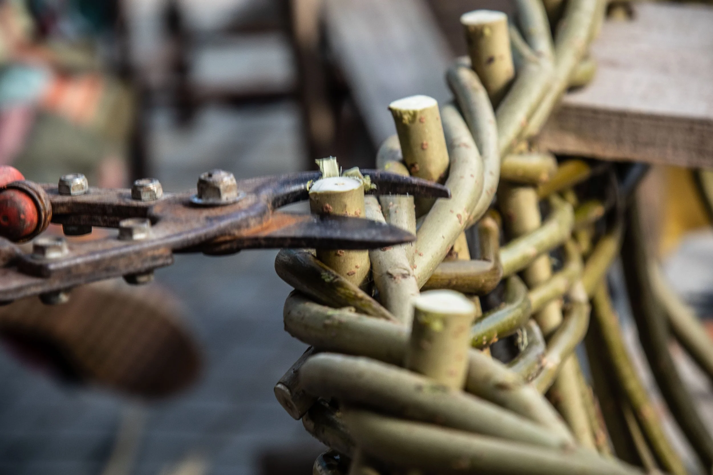 Gofod Glas llanrwst 15.3.25-5.jpg