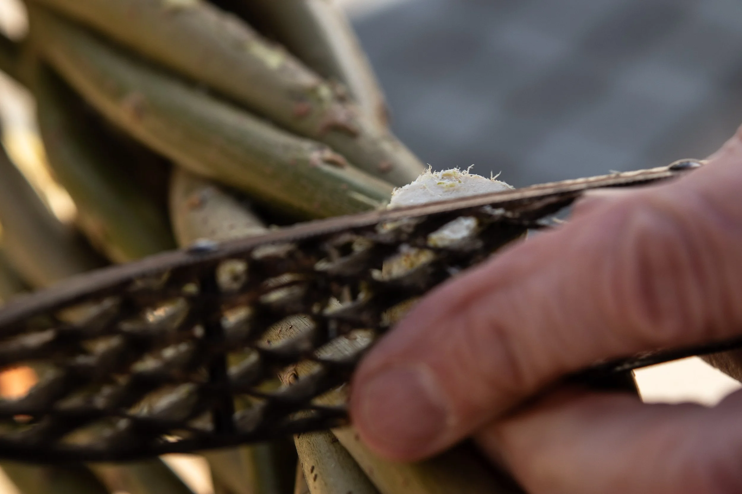 Gofod Glas llanrwst 15.3.25-6.jpg