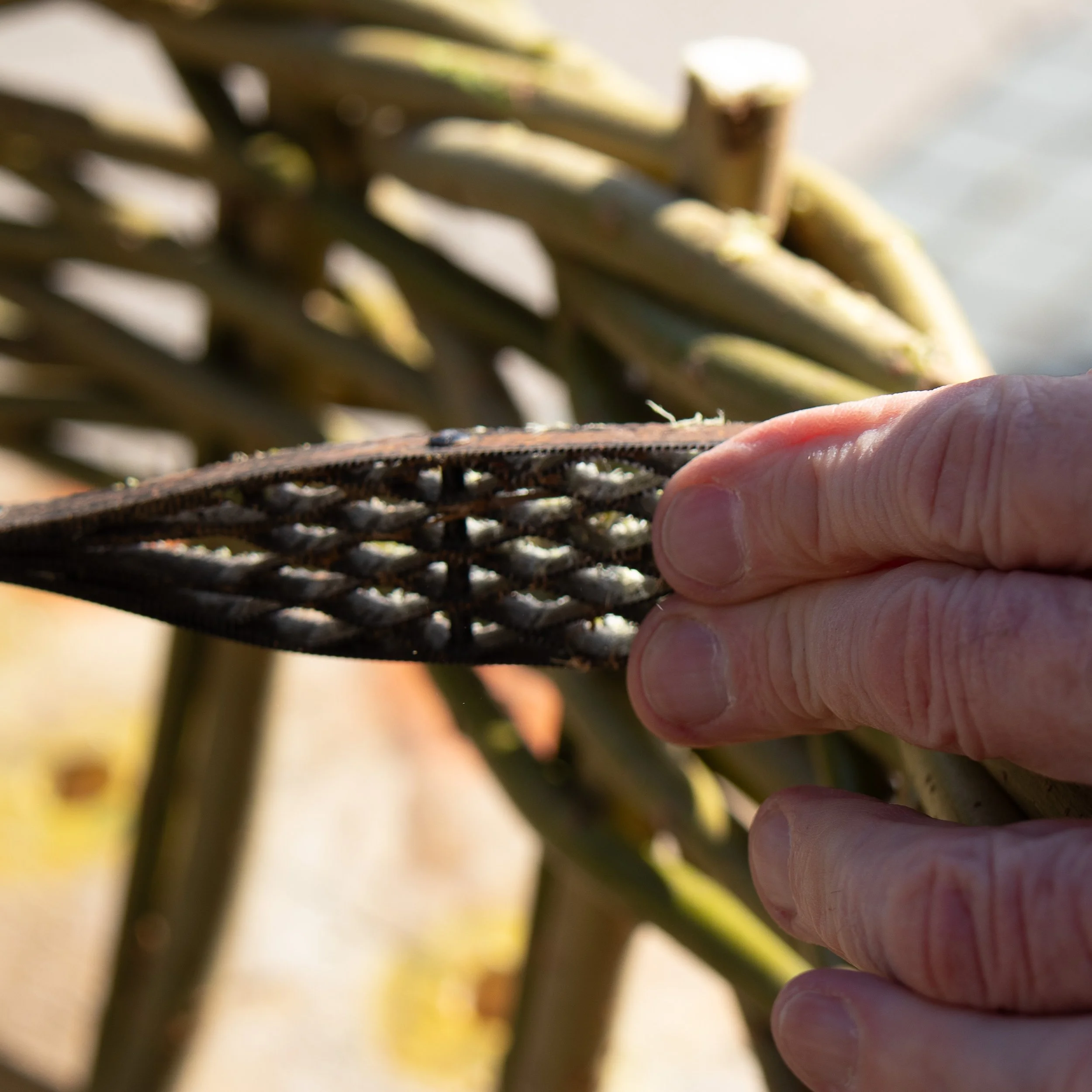 Gofod Glas llanrwst 15.3.25-7.jpg