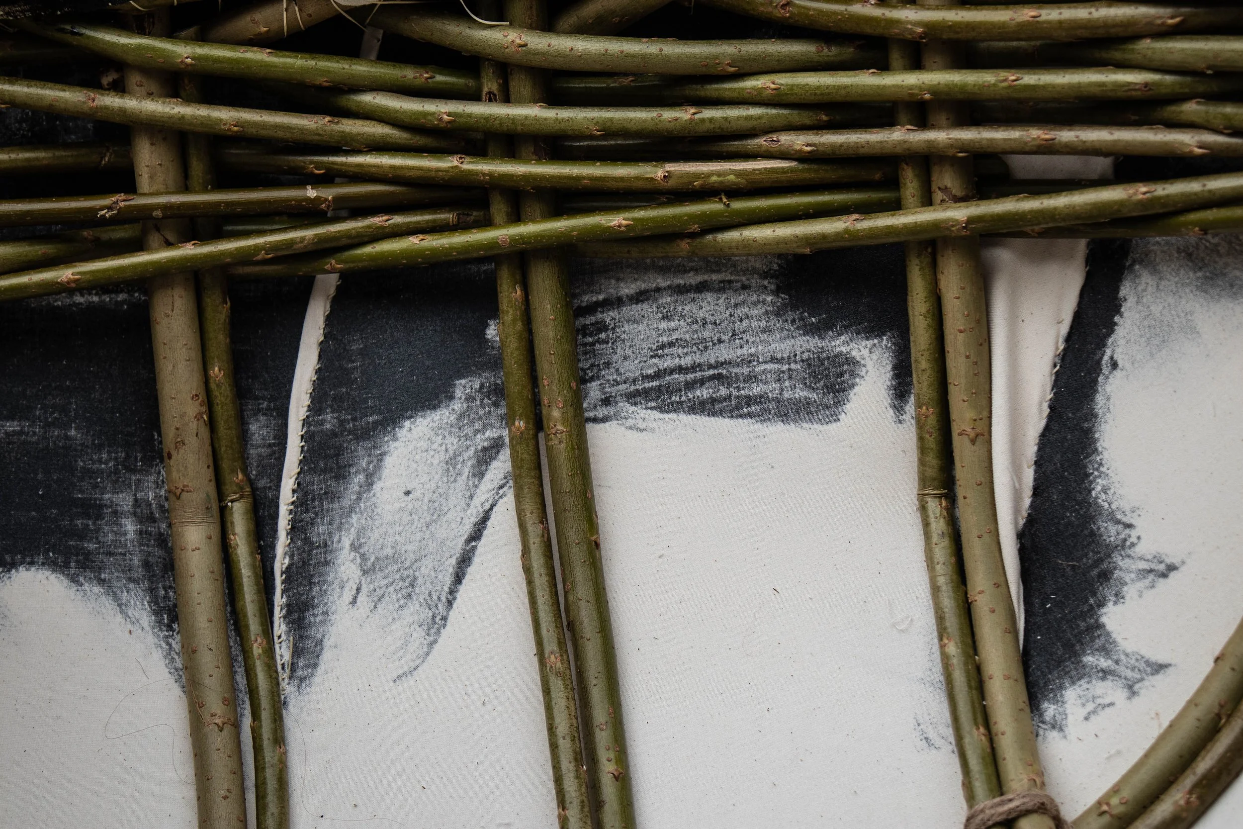 Gofod Glas llanrwst 16.3.25_-26.jpg