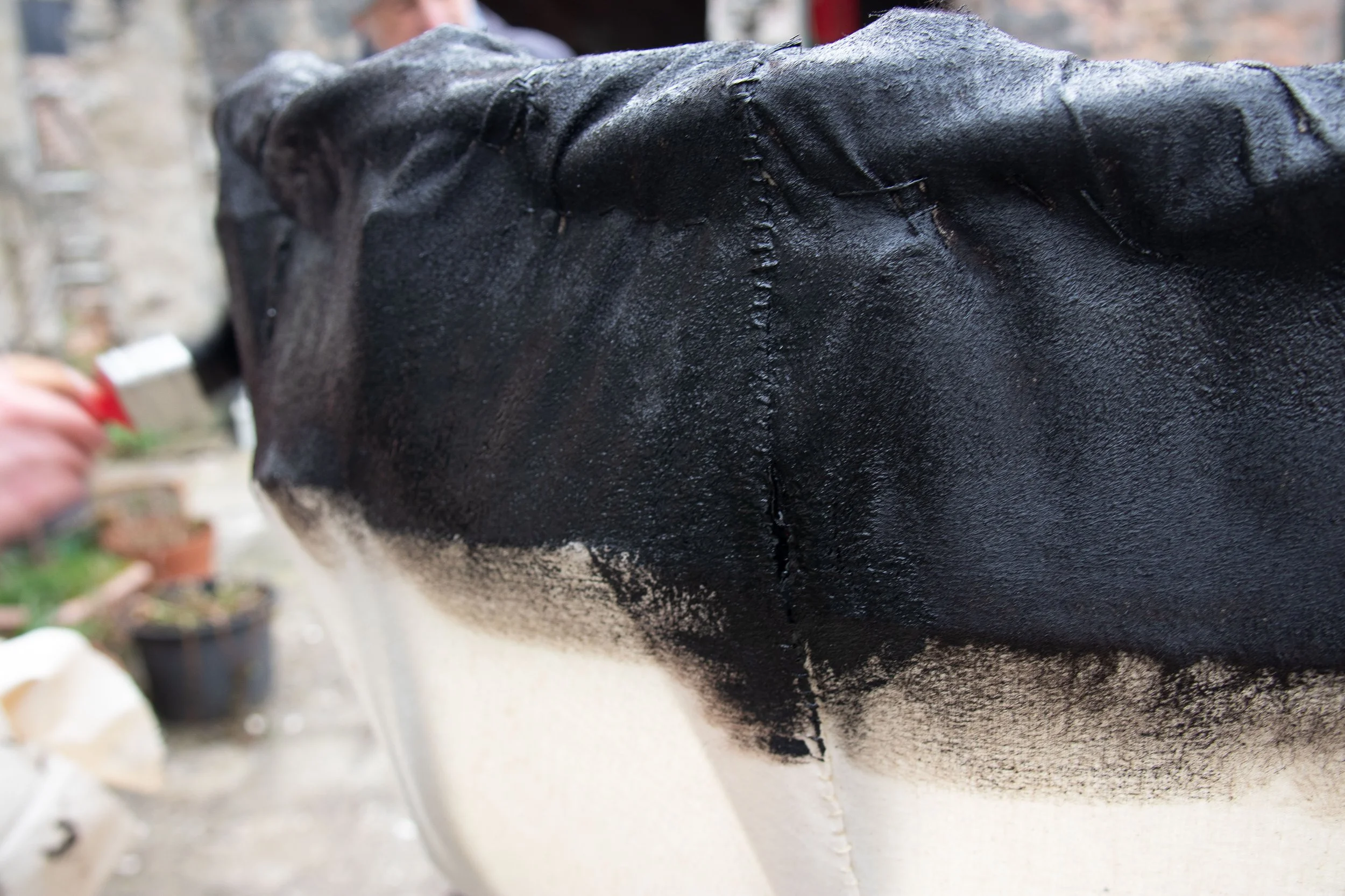 Gofod Glas llanrwst 16.3.25_-29.jpg