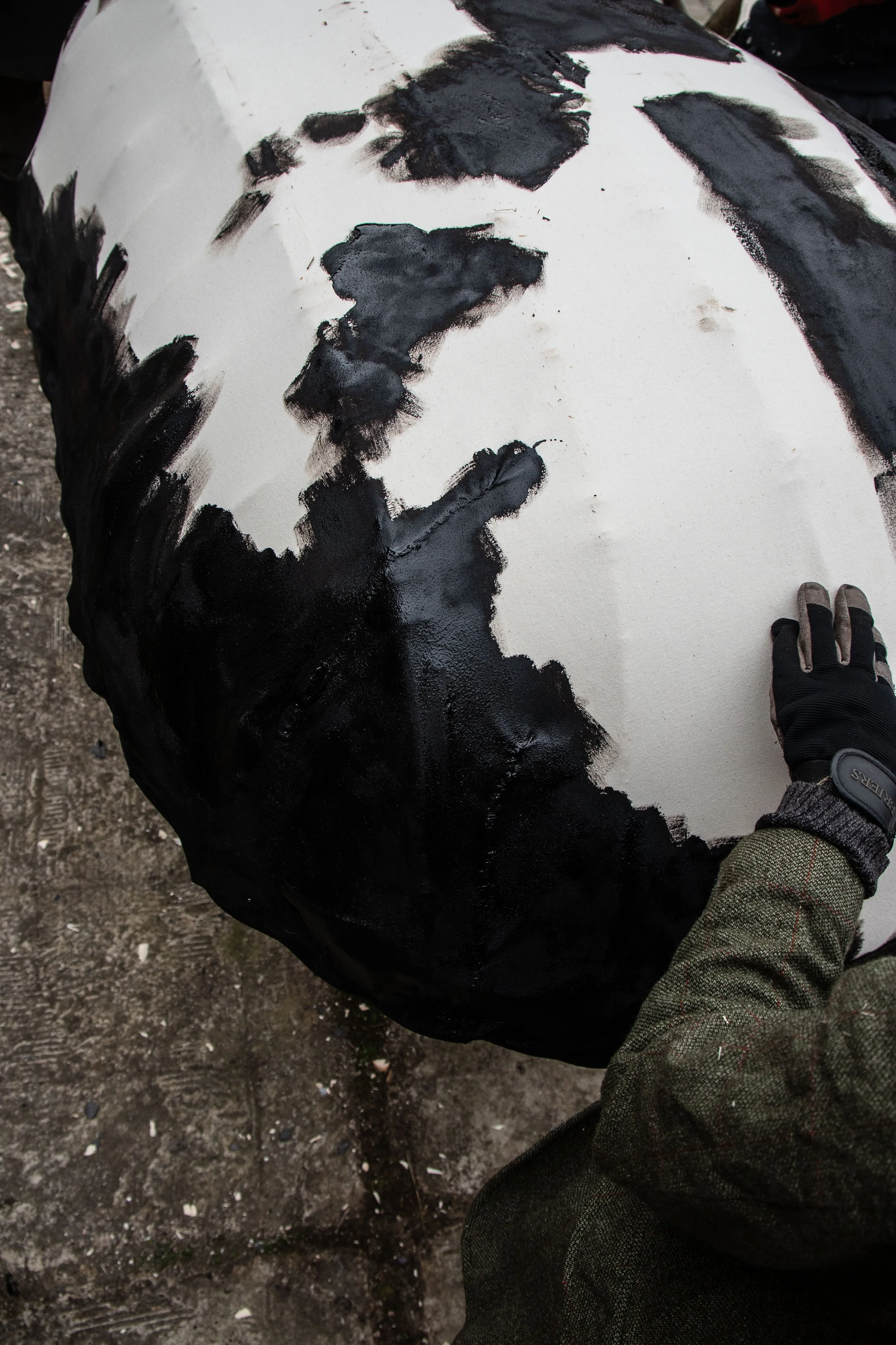 Gofod Glas llanrwst 16.3.25_-30.jpg