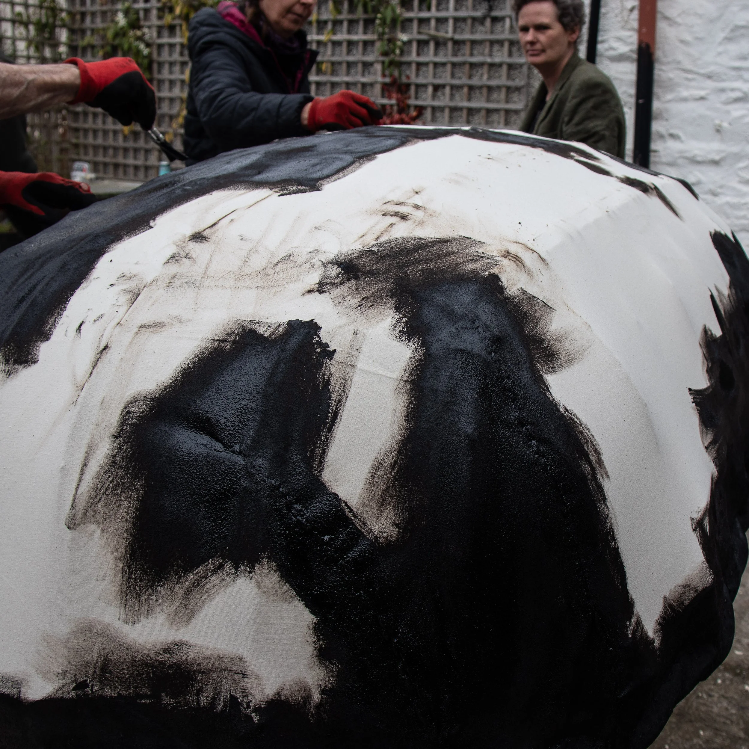 Gofod Glas llanrwst 16.3.25_-33.jpg