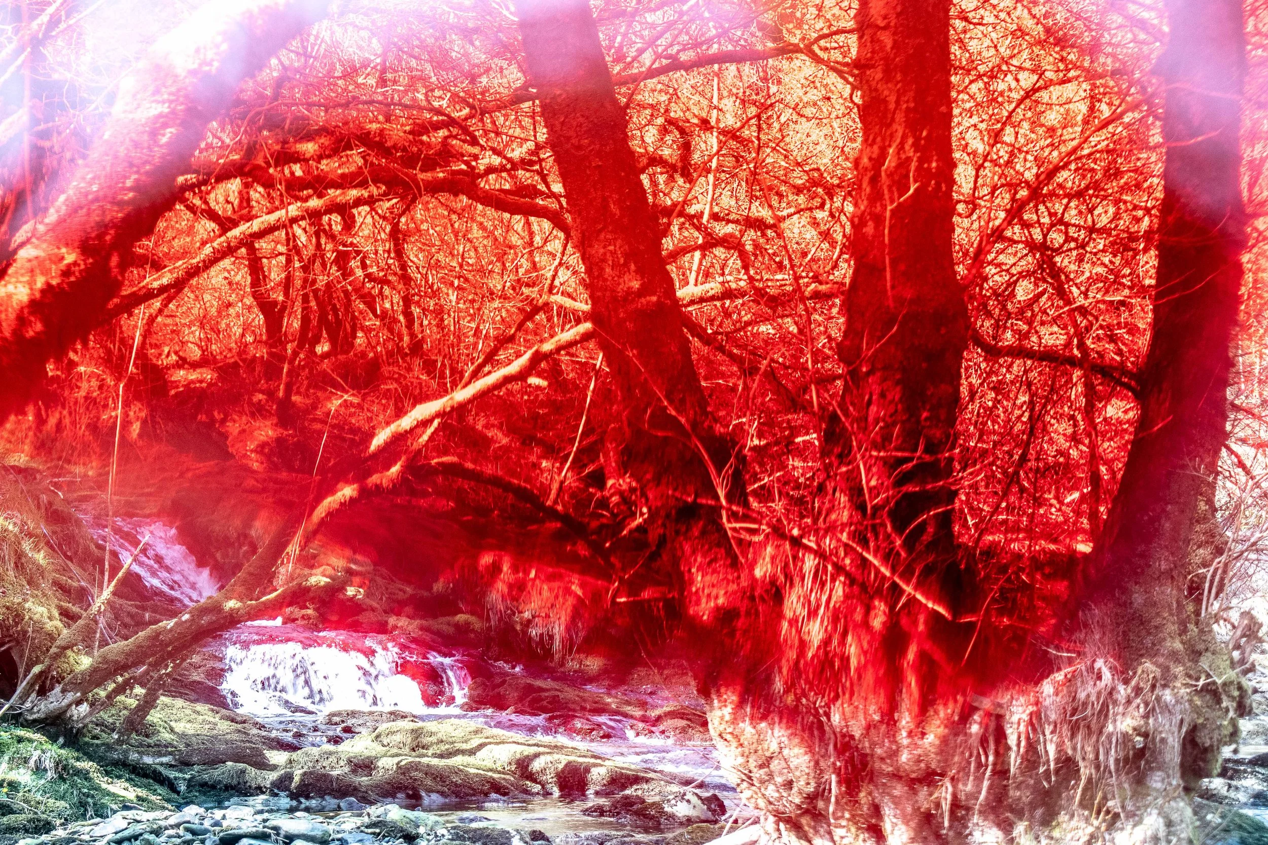 Dro Dwr Dolwyddelan 21.3.26-5.jpg