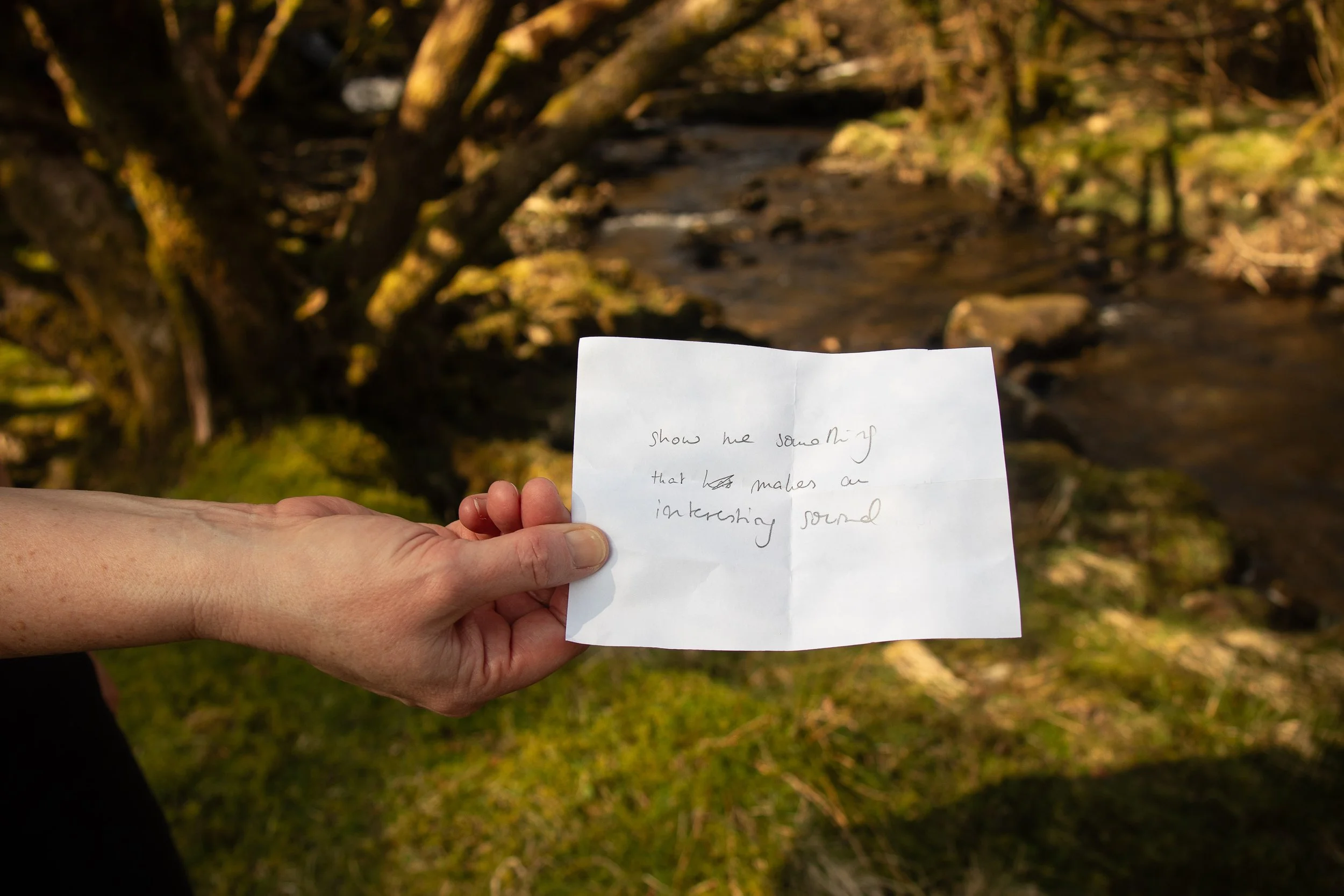 Dro Dwr Dolwyddelan 21.3.26-6.jpg