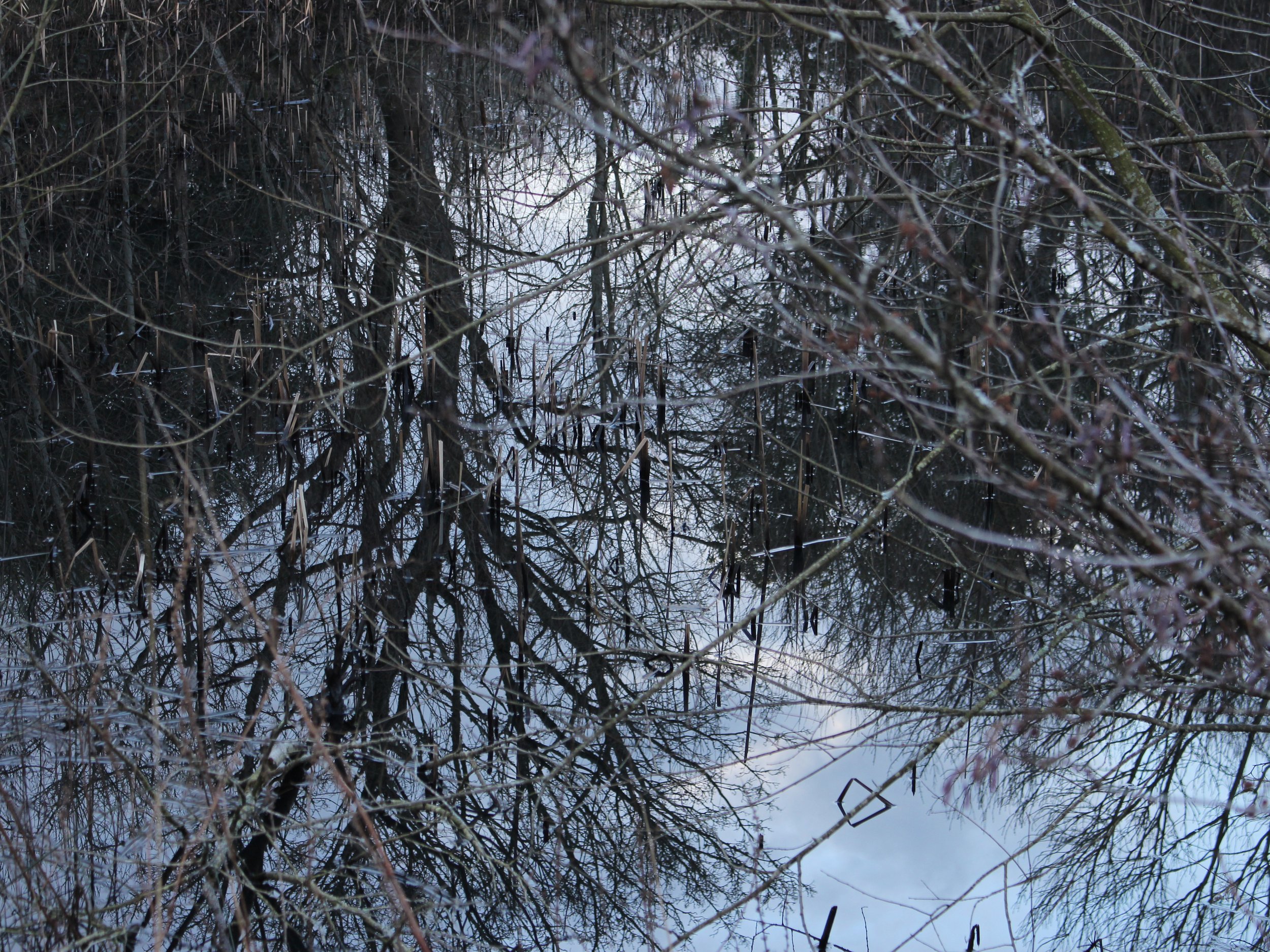 IMG_7563.JPG